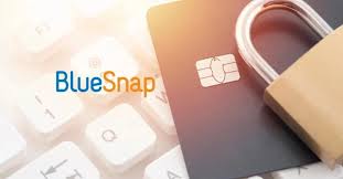 BlueSnap